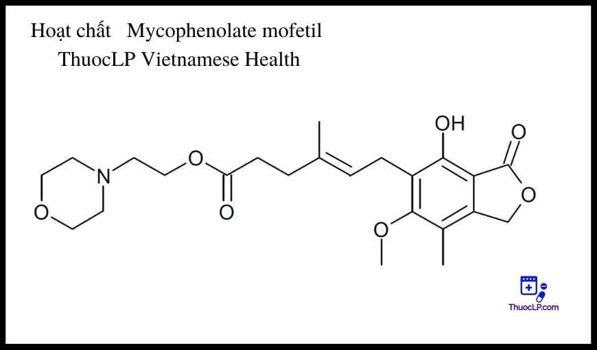 hoat-chat-mycophenolate-mofetil-chi-dinh-tuong-tac-thuoc