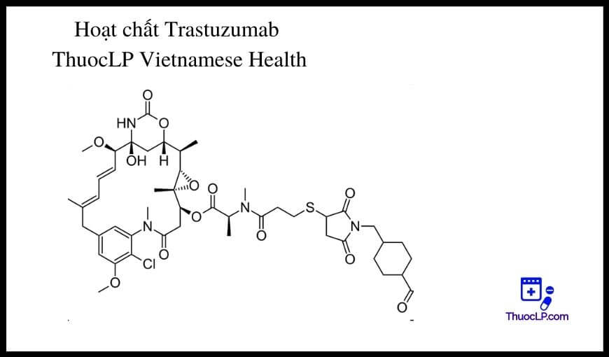 hoat-chat-trastuzumab-chi-dinh-tuong-tac-thuoc